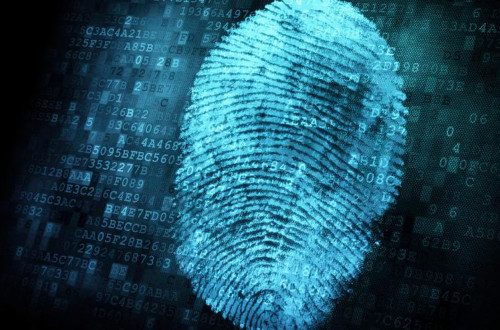 biometría